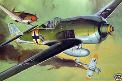 Hasegawa 1/32 Focke Wulf Fw-190 A6/A8