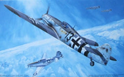 BONE YARD - Fujimi 1/48 Messerschmitt Bf-109G-14/AS "Peterle"