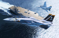 Ka Models 1/72 Grumman F-14A Tomcat "Jolly Rogers"